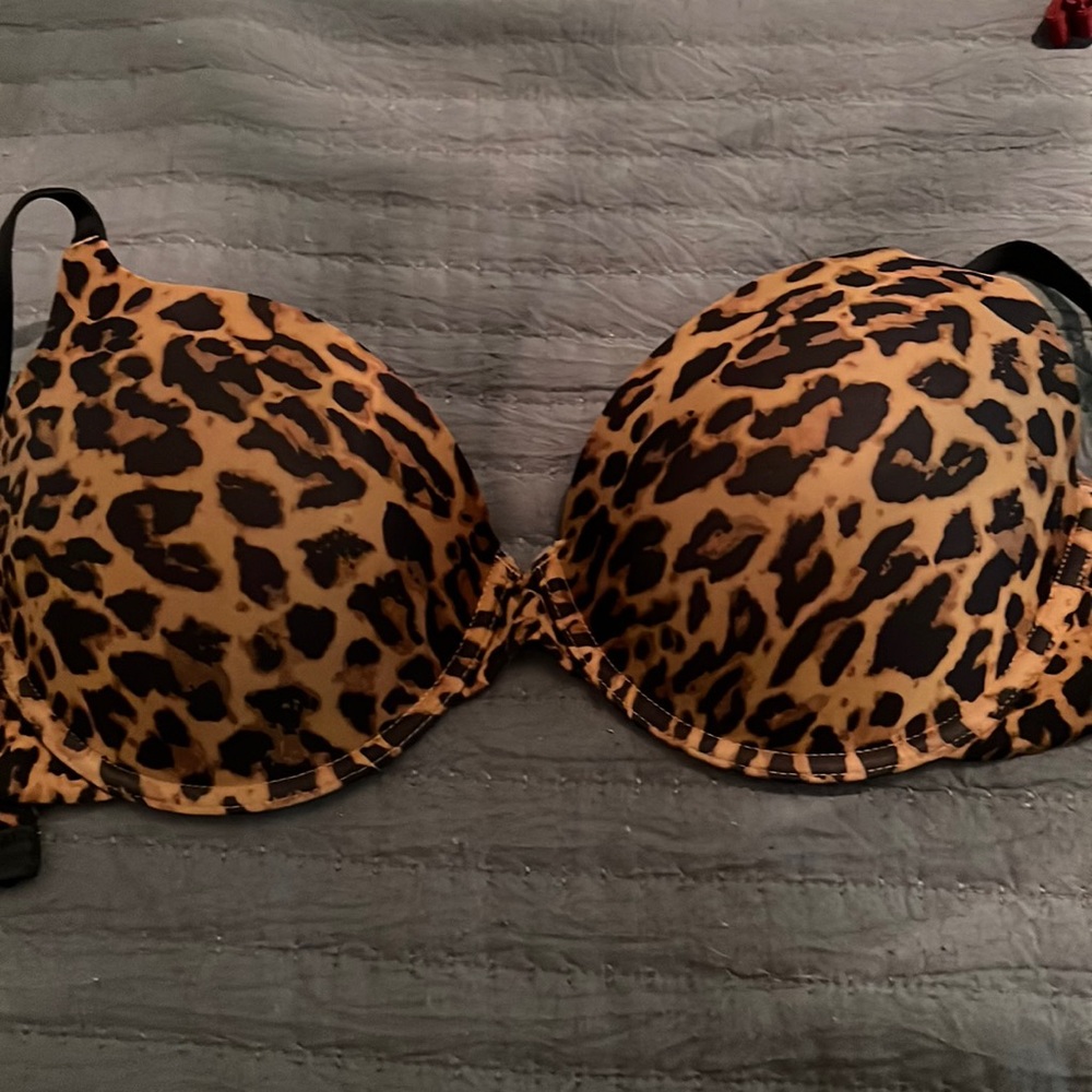 Gillian & O’Malley bra!